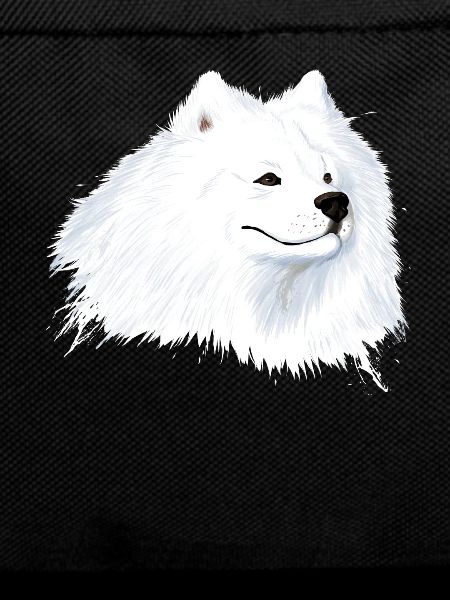 Samojede chien