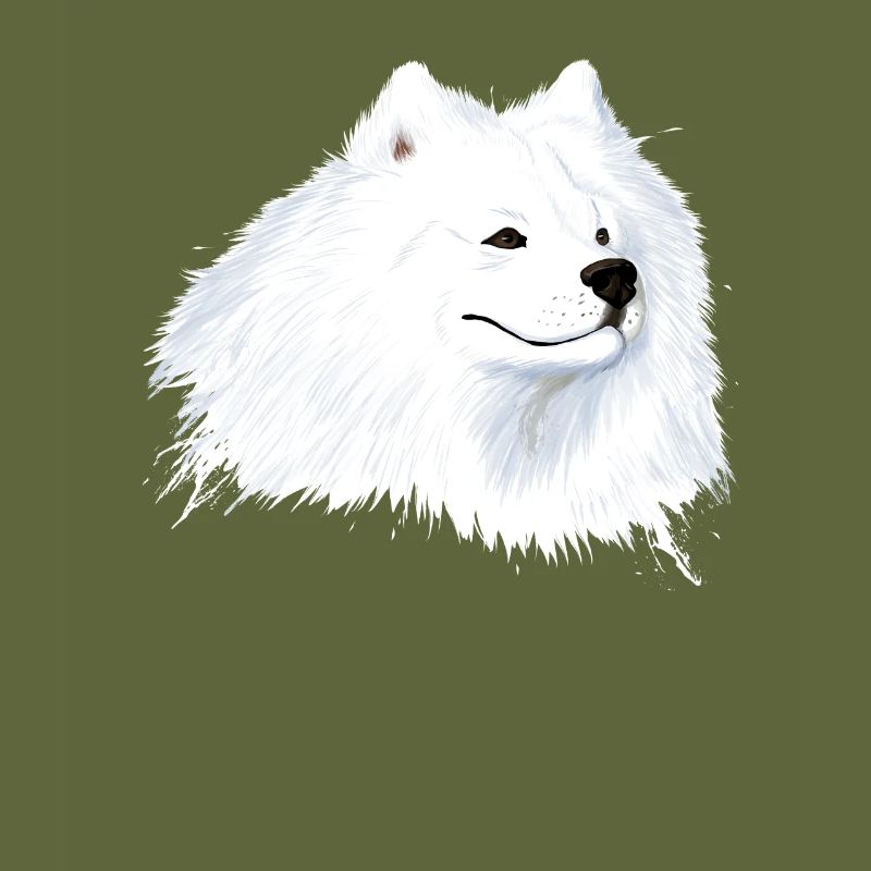 Samoyed Dog Head