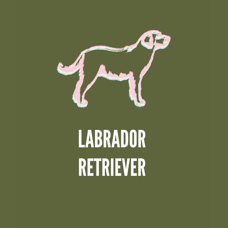 Labrador Retrievers