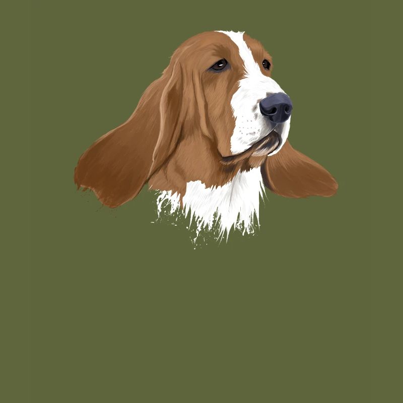 Basset Hound