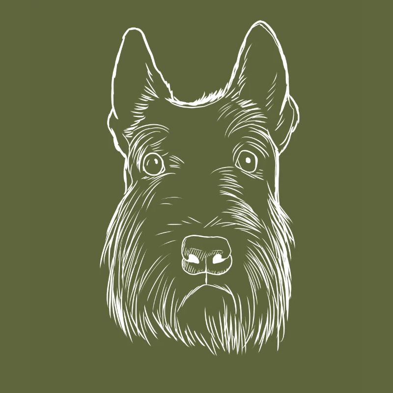 Scottish Terrier Dog