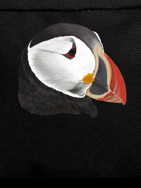 Puffin