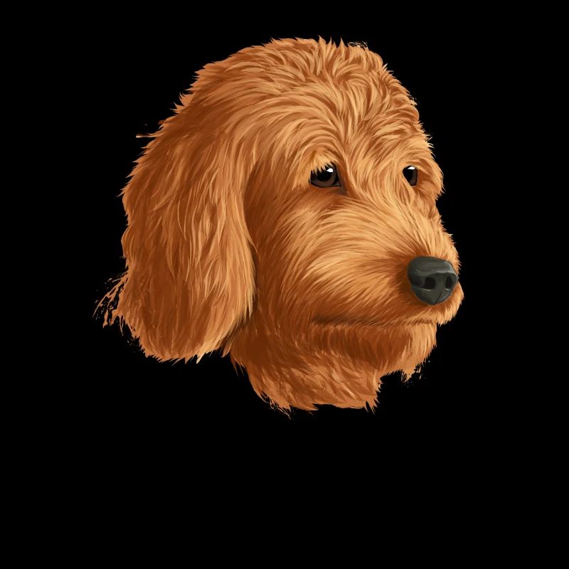 Goldendoodle Hund