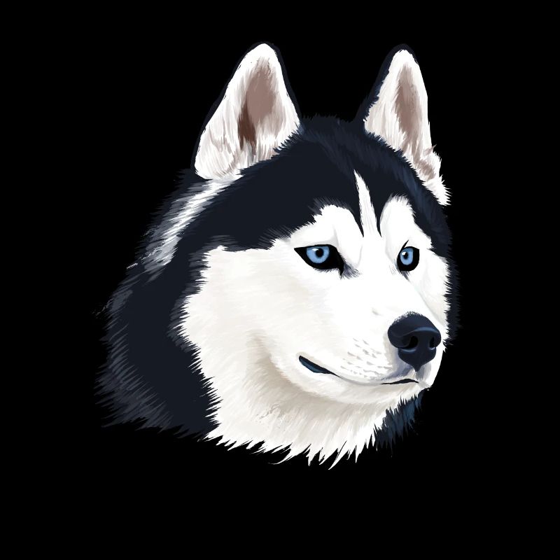 Chien husky