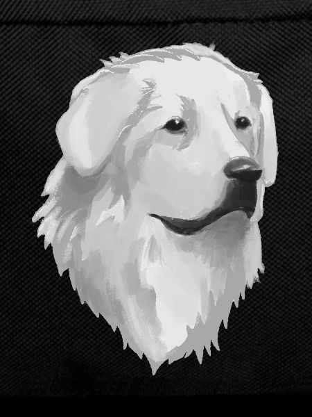 Chien pyrénéen