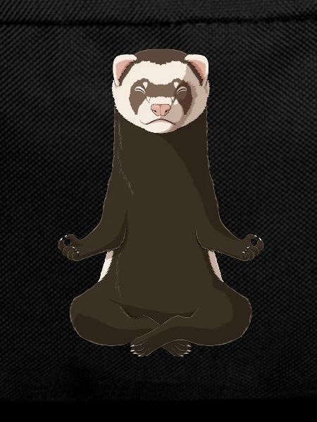 Ferret