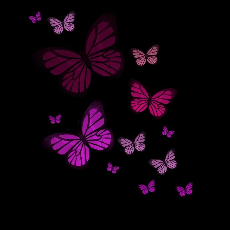 Schmetterling Schmetterling Tier bunt Farbe