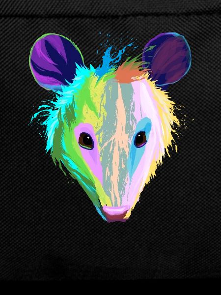 Splash Opossums