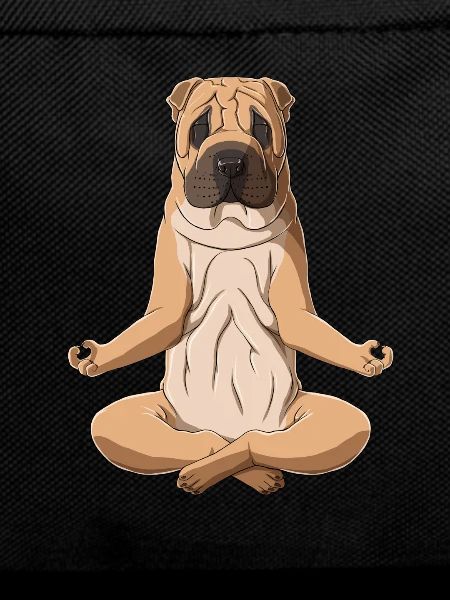 Yoga Shar Pei Dog