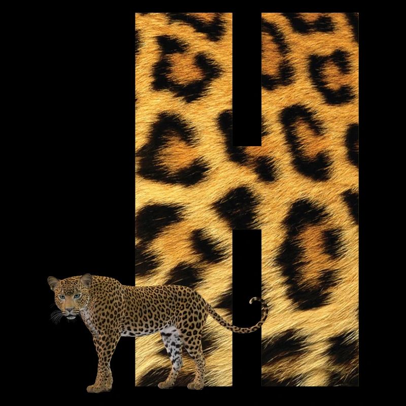 leopard h