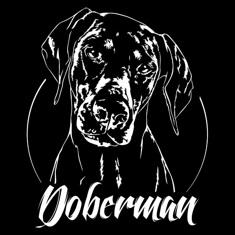 DOBERMAN Pinscher Hundeportrait Hunde Wilsigns
