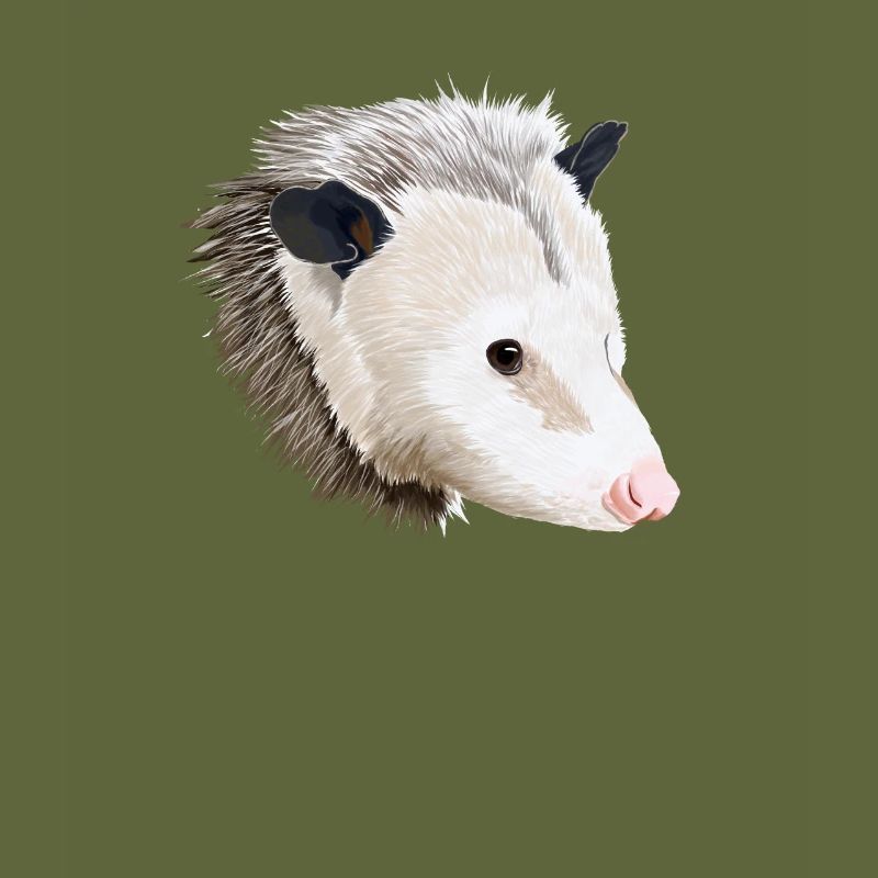 Opossum