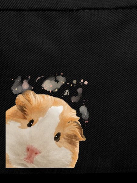 Curious Guinea Pig
