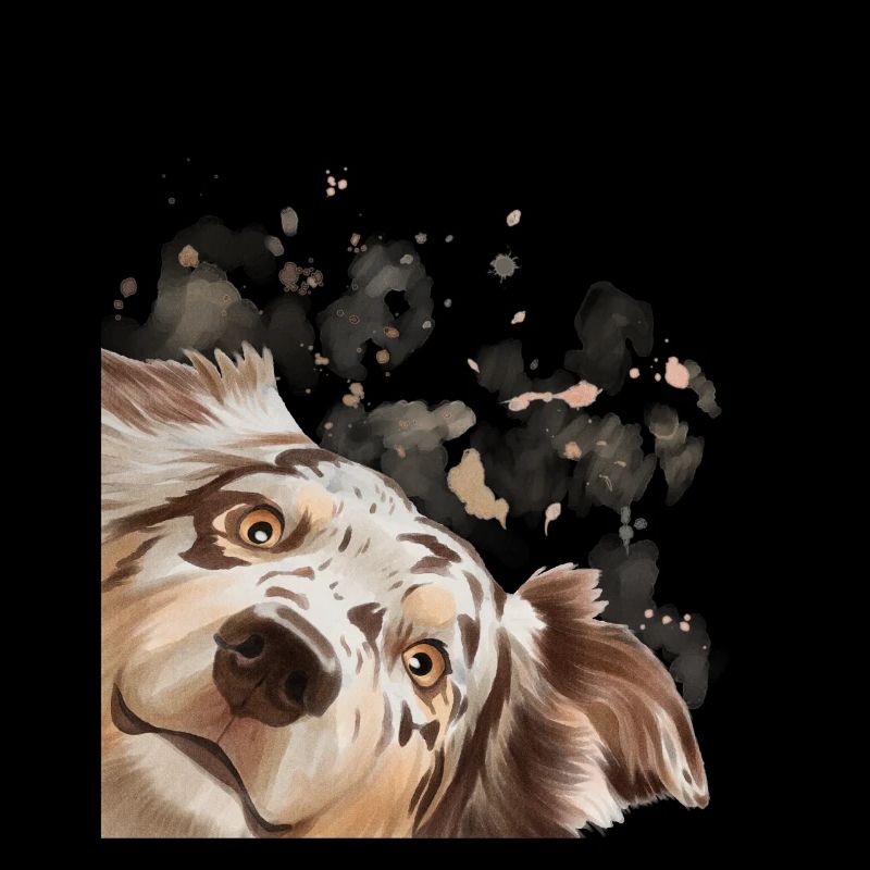 Dog Curious Australian Shepherd Dog
