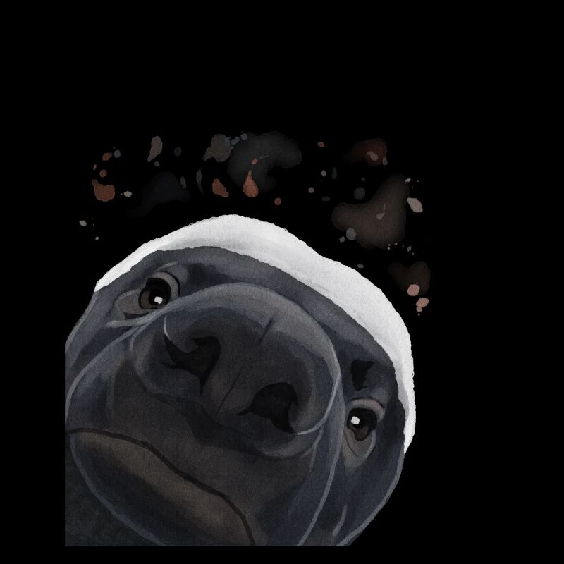 Curious Honey Badger