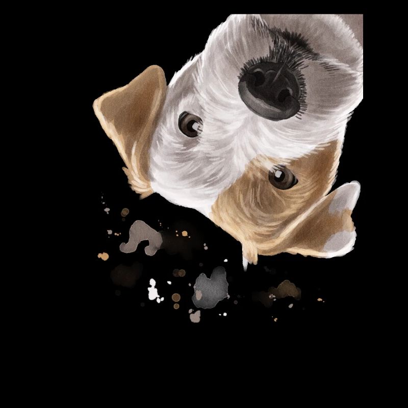 Neugieriger Parson Russell Terrier Hund