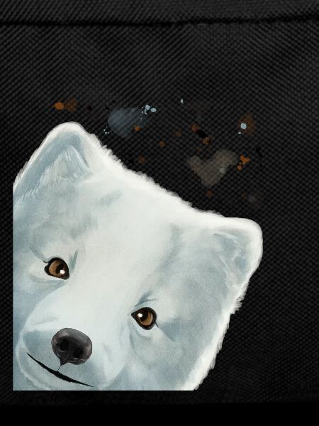Neugieriger Polarfuchs