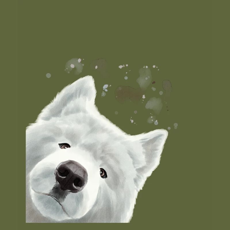 Curious Samoyed Dog