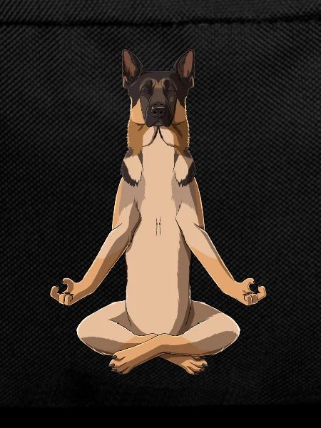 Meditate German Shepherd Dog