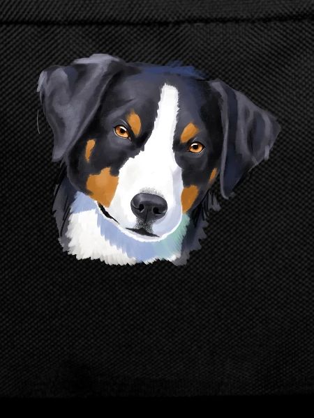 Appenzell Mountain Dog