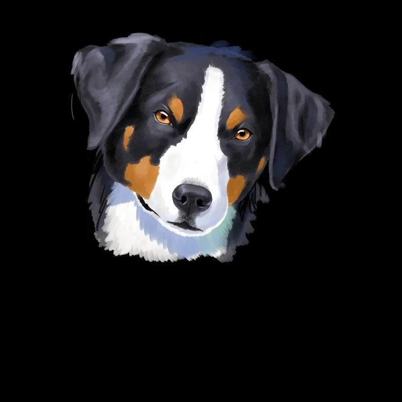Appenzell Mountain Dog