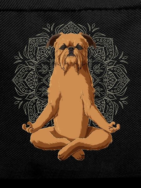 Brussels Griffon Dog meditate