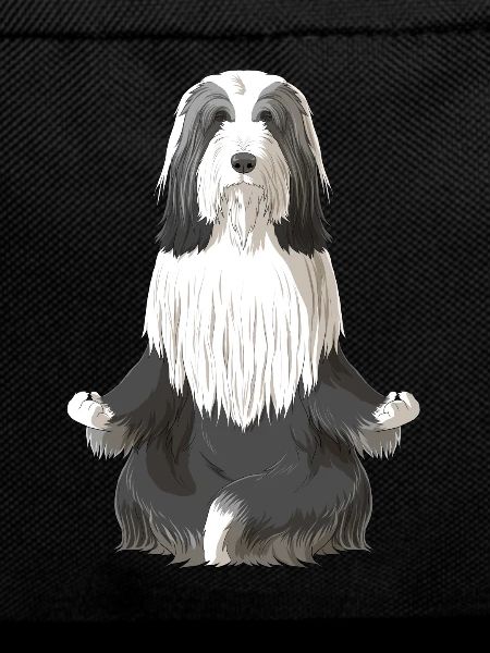 Bearded Collie Dog meditate