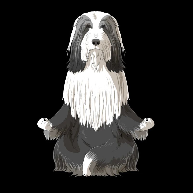 Bearded Collie Dog meditate