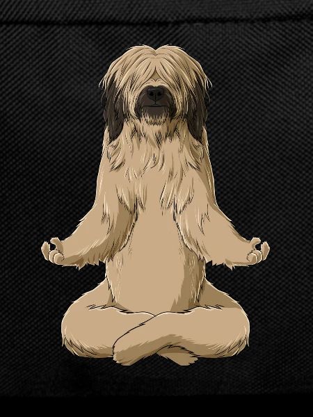 Meditate Briard Dog
