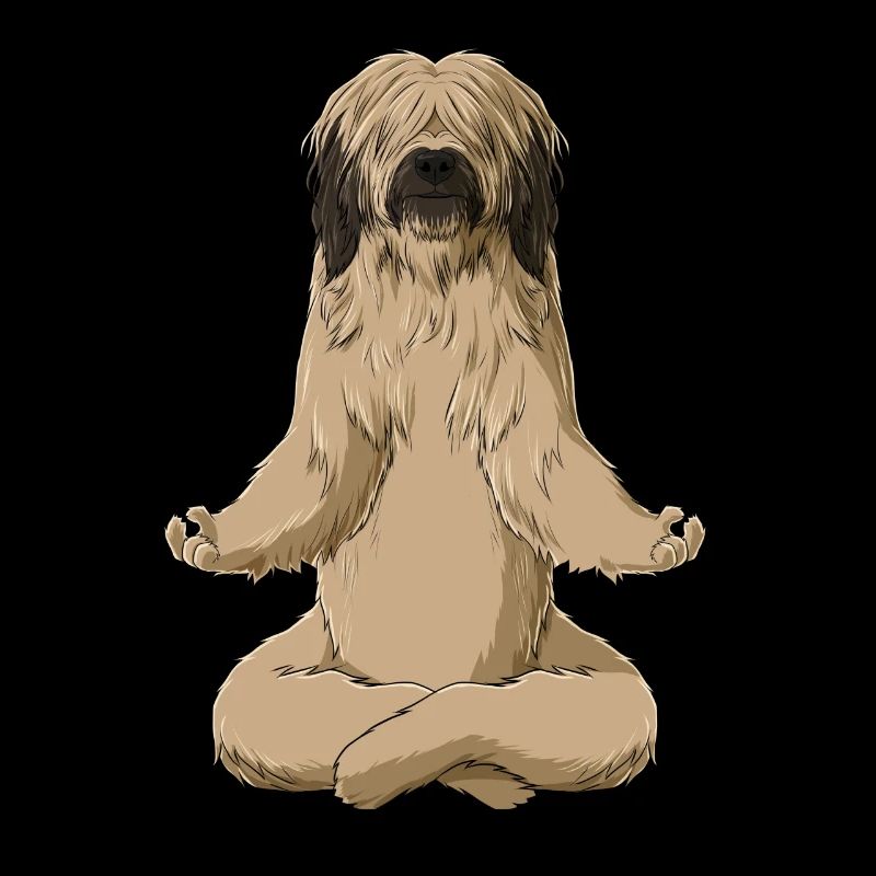 Chien Méditant Briard