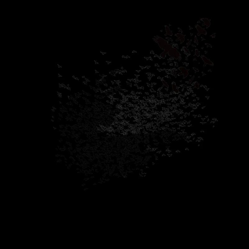 Wikinger - Walhalla Raben Grafik