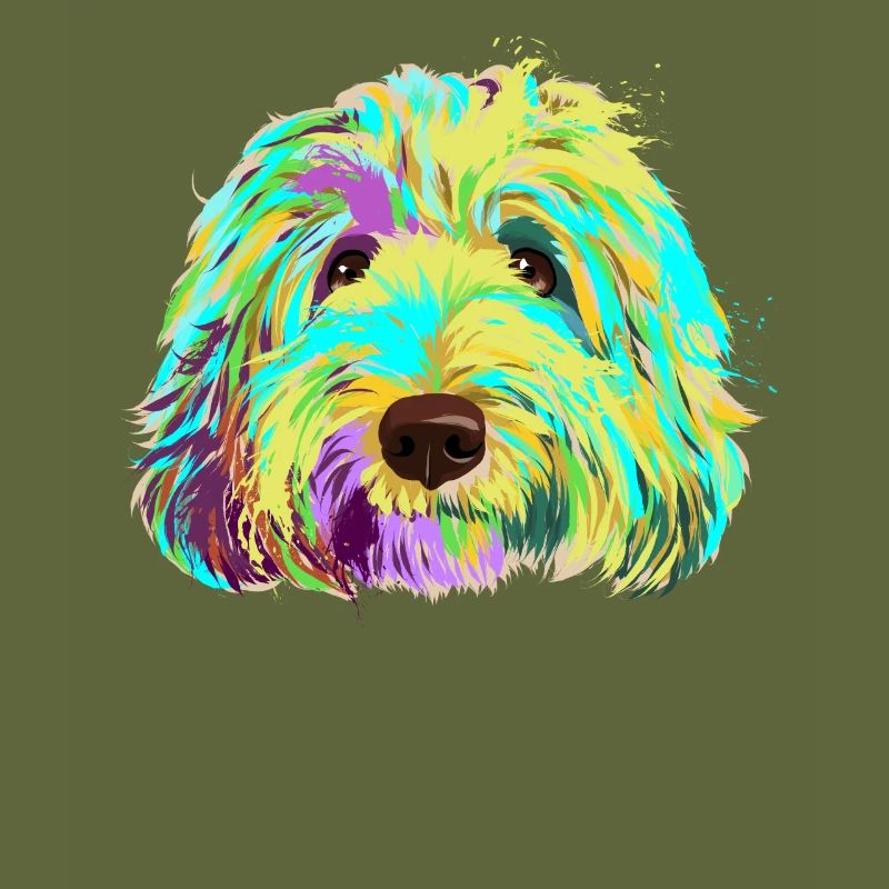 Splash Labradoodle Dog