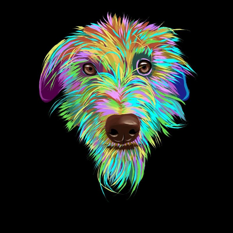 Splash Scottish Deerhound Dog