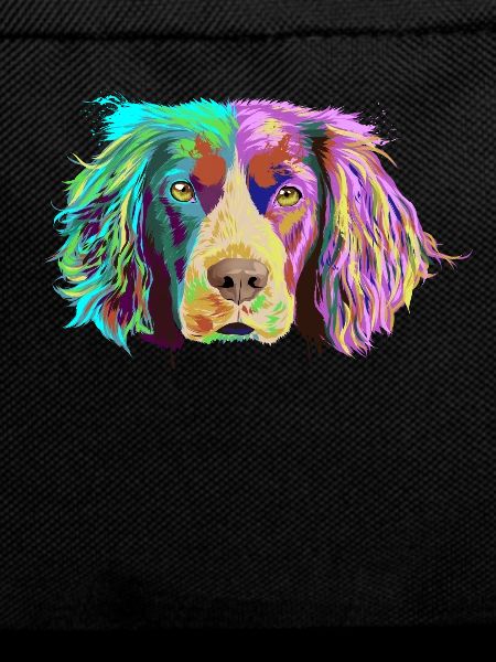 Splash Brittany Spaniel Dog
