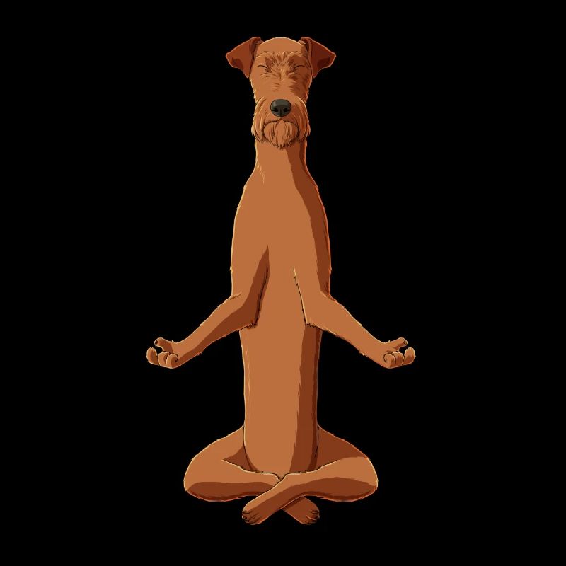 Meditating Irish Terrier Dog