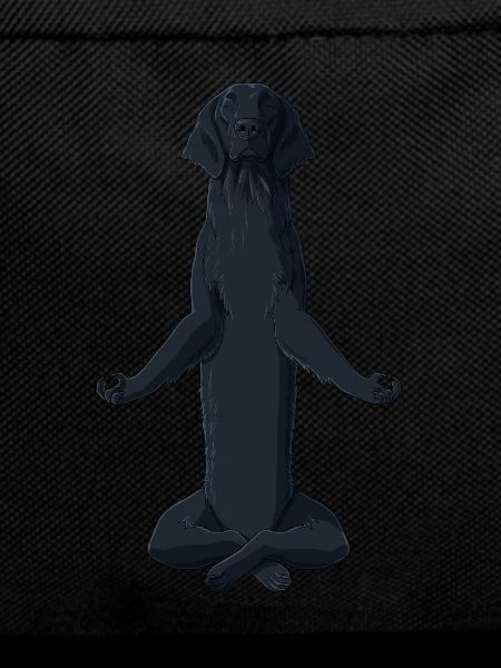 Meditating Flat Coated Retriever Dog