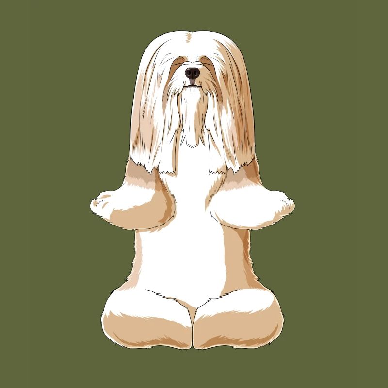 Méditant chien Lhasa Apso
