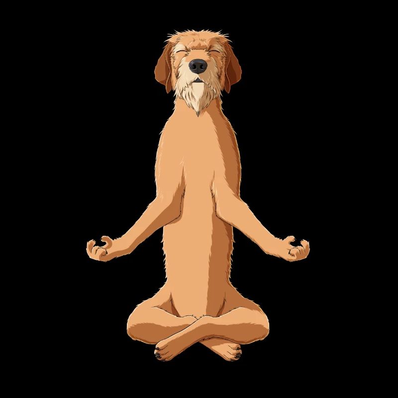 Meditate Styrian Coarse Haired Hound