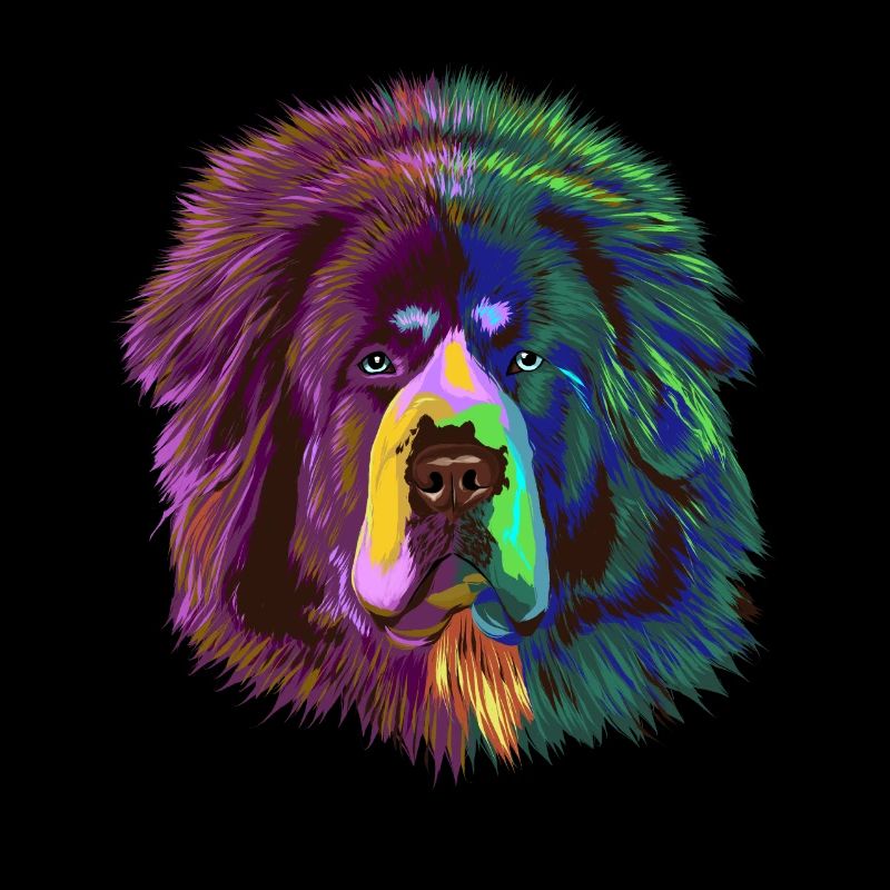 Splash Tibetan Mastiff Hund