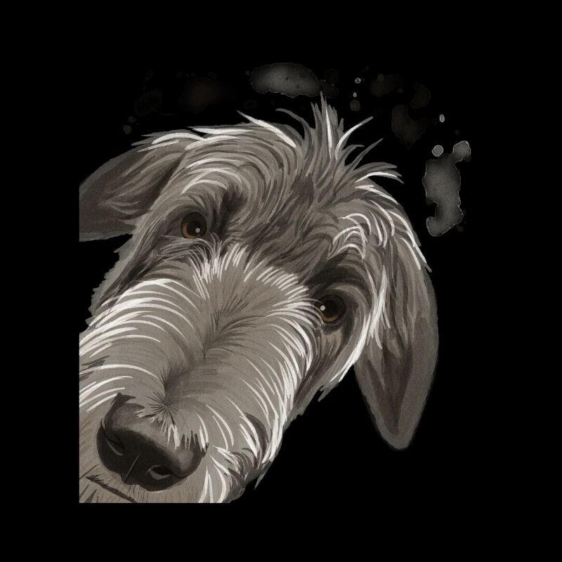 Curious Deerhound Dog