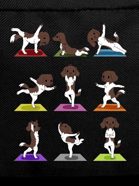 Yoga Maps Münsterländer Dog