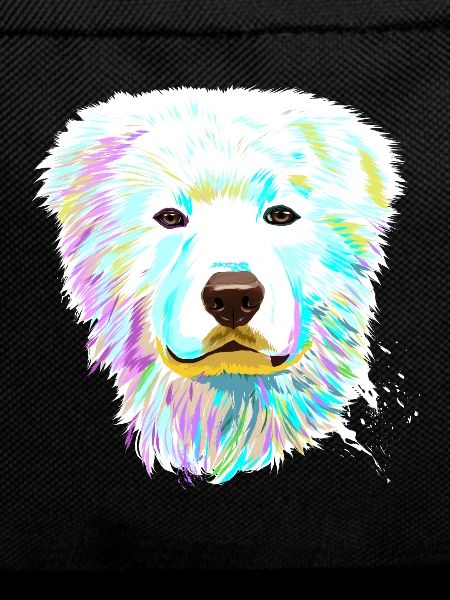 Splash Maremma Sheepdog Dog
