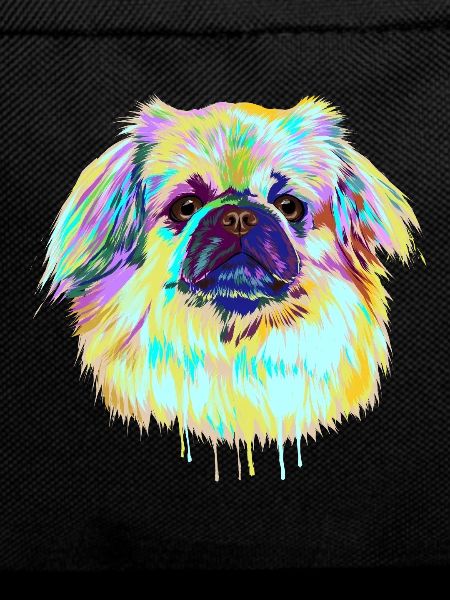 Splash Tibetan Spaniel Dog