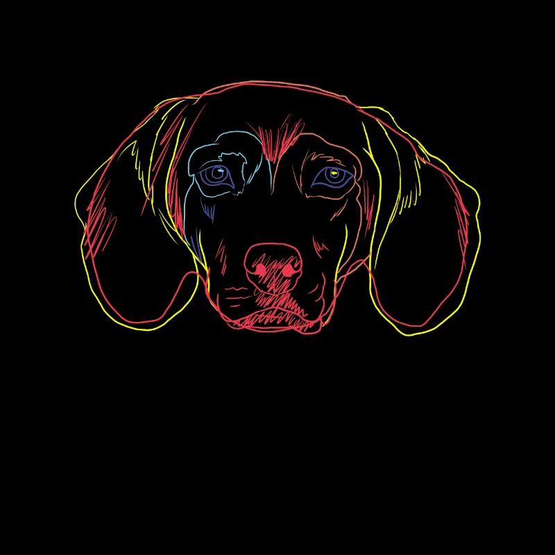 Strokes Tiroler Bracke Dog