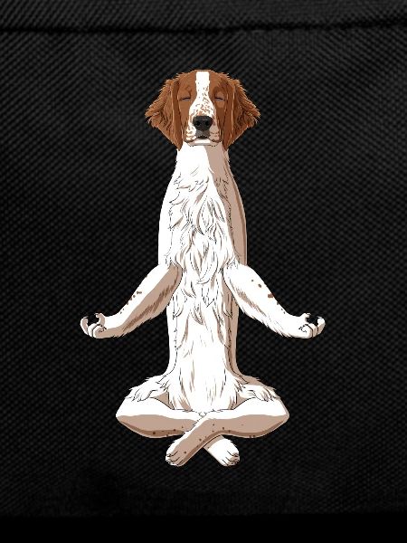 Meditate Welsh Springer Spaniel Dog