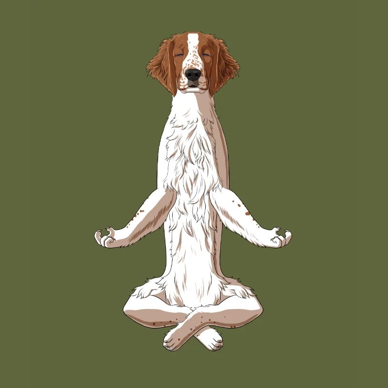 Chien Welsh Springer Spaniel Méditant