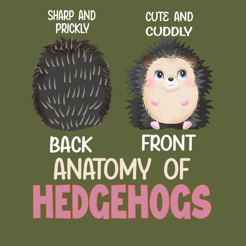 Anatomie des Igel