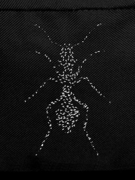 Ant from ants