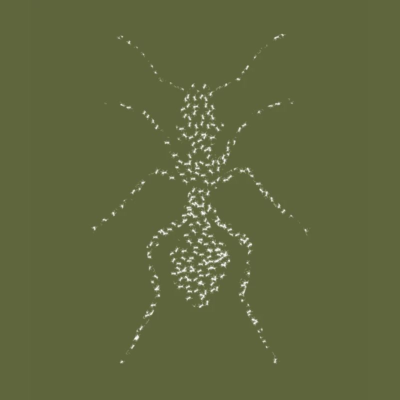 Ant from ants