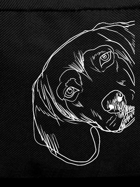 Strokes Tiroler Bracke Dog